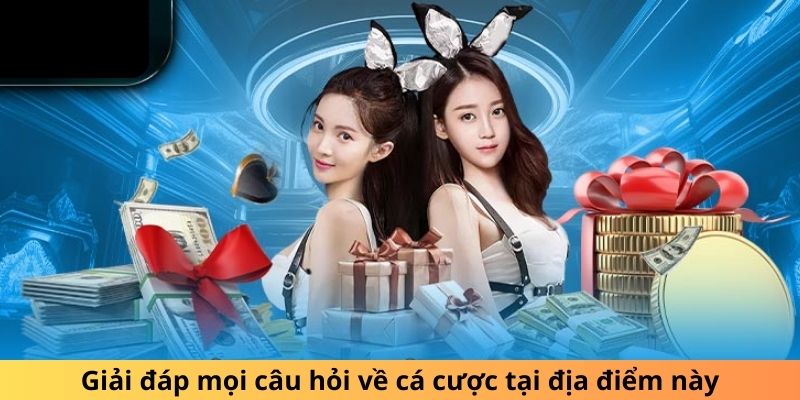 Giải đáp mọi câu hỏi về cá cược tại địa điểm này